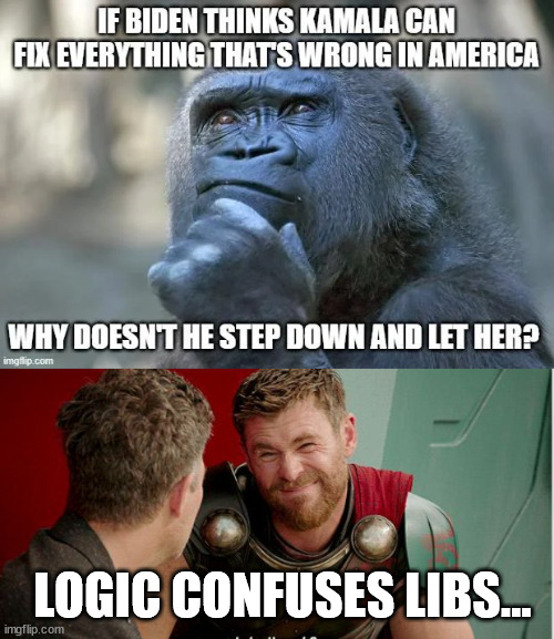It makes perfect sense... | LOGIC CONFUSES LIBS... | image tagged in too much logic,confuses libs | made w/ Imgflip meme maker