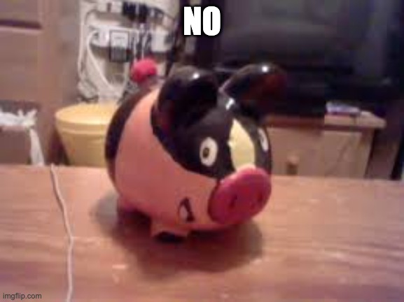 Tepig piggy bank (not mine lol) | NO | image tagged in tepig piggy bank not mine lol | made w/ Imgflip meme maker