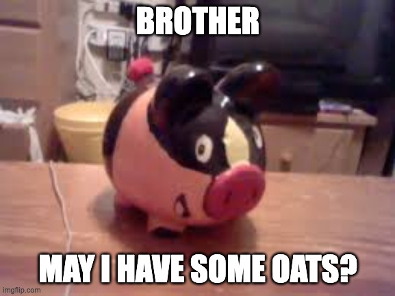 Tepig piggy bank (not mine lol) | BROTHER; MAY I HAVE SOME OATS? | image tagged in tepig piggy bank not mine lol | made w/ Imgflip meme maker