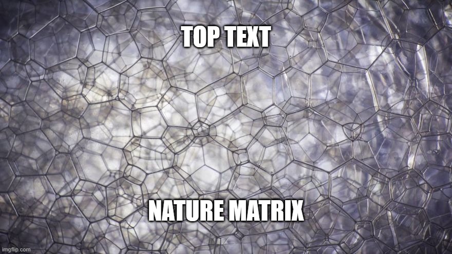 Top Text Trend 5 | TOP TEXT; NATURE MATRIX | image tagged in matrix | made w/ Imgflip meme maker