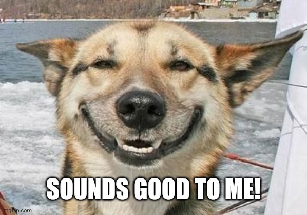 smiling dog | SOUNDS GOOD TO ME! | image tagged in smiling dog | made w/ Imgflip meme maker