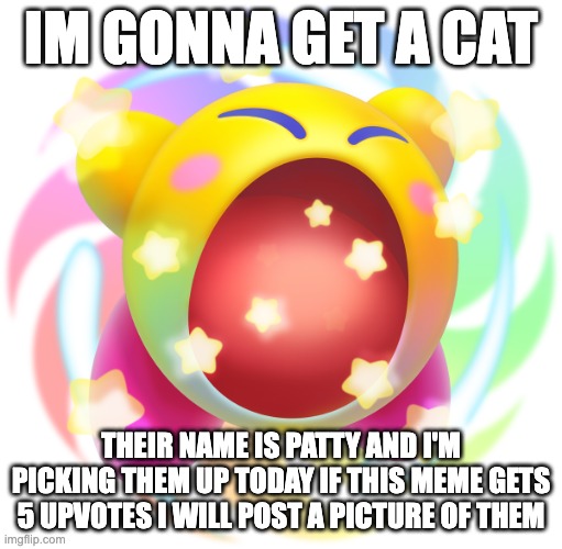 Hypernova Kirby | IM GONNA GET A CAT; THEIR NAME IS PATTY AND I'M PICKING THEM UP TODAY IF THIS MEME GETS 5 UPVOTES I WILL POST A PICTURE OF THEM | image tagged in hypernova kirby | made w/ Imgflip meme maker