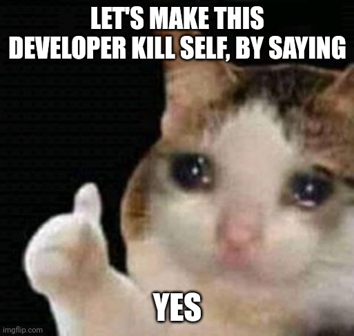 sad thumbs up cat | LET'S MAKE THIS DEVELOPER KILL SELF, BY SAYING YES | image tagged in sad thumbs up cat | made w/ Imgflip meme maker