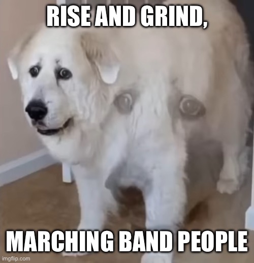 Hello | RISE AND GRIND, MARCHING BAND PEOPLE | image tagged in wtf 13 | made w/ Imgflip meme maker