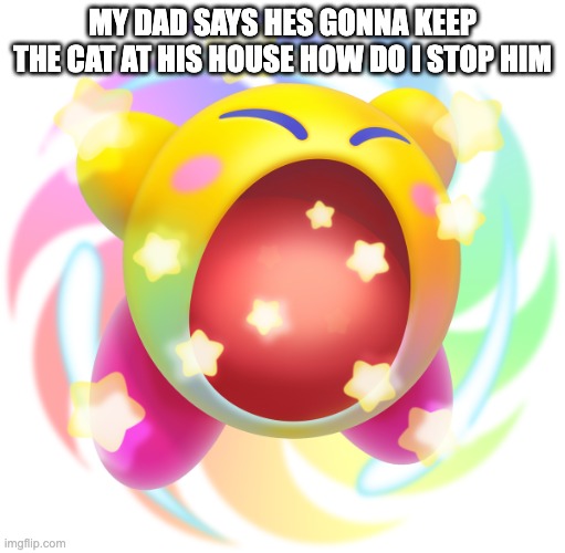 Hypernova Kirby | MY DAD SAYS HES GONNA KEEP THE CAT AT HIS HOUSE HOW DO I STOP HIM | image tagged in hypernova kirby | made w/ Imgflip meme maker