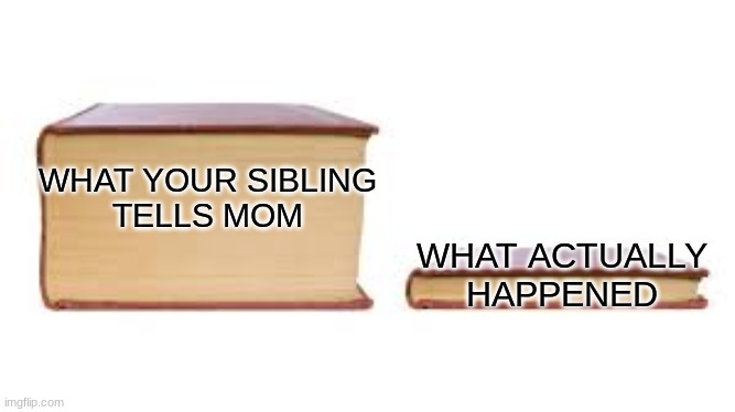 Big book small book | WHAT YOUR SIBLING TELLS MOM; WHAT ACTUALLY HAPPENED | image tagged in big book small book | made w/ Imgflip meme maker