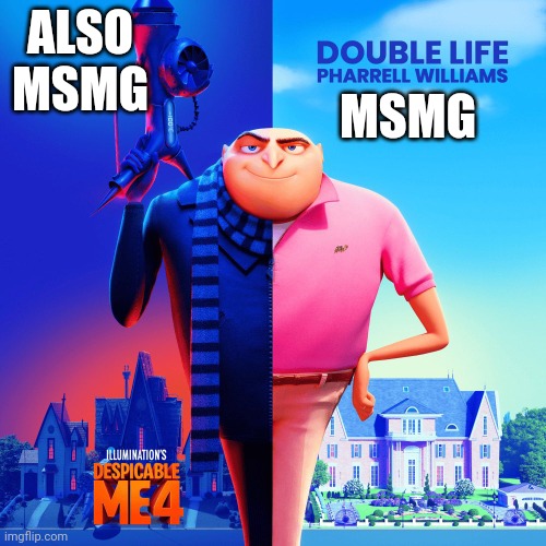 Msmg got dat Double life | ALSO MSMG; MSMG | image tagged in double life | made w/ Imgflip meme maker