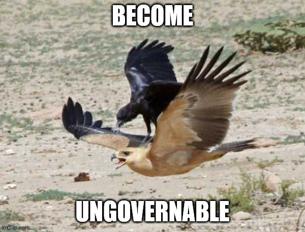 AnarCrow | BECOME; UNGOVERNABLE | image tagged in anarchy | made w/ Imgflip meme maker