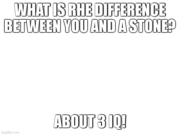 stone has more iq than you | WHAT IS RHE DIFFERENCE BETWEEN YOU AND A STONE? ABOUT 3 IQ! | image tagged in blank white template,iq | made w/ Imgflip meme maker