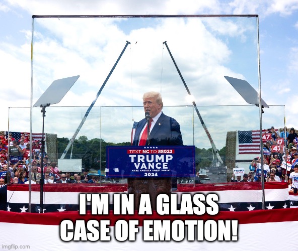 Trump in a glass case of emotion | I'M IN A GLASS CASE OF EMOTION! | image tagged in trump glass | made w/ Imgflip meme maker