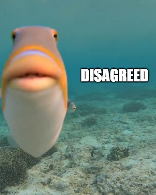 staring fish | DISAGREED | image tagged in staring fish | made w/ Imgflip meme maker