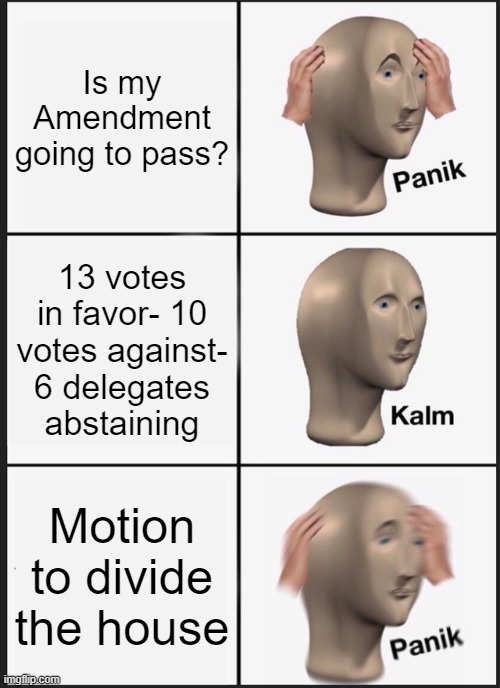 MUN/ Motion to divide the house hits different | Is my Amendment going to pass? 13 votes in favor- 10 votes against- 6 delegates abstaining; Motion to divide the house | image tagged in memes,panik kalm panik | made w/ Imgflip meme maker