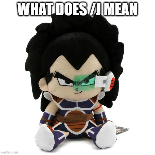 raditz plush | WHAT DOES /J MEAN | image tagged in raditz plush | made w/ Imgflip meme maker