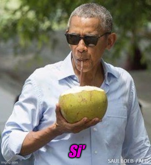 Obama Coconut | Si' | image tagged in obama coconut | made w/ Imgflip meme maker