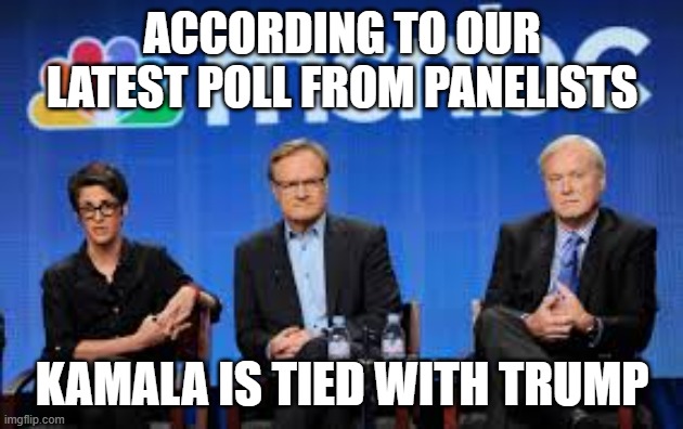 MSNBC hosts are stupid | ACCORDING TO OUR LATEST POLL FROM PANELISTS KAMALA IS TIED WITH TRUMP | image tagged in msnbc hosts are stupid | made w/ Imgflip meme maker