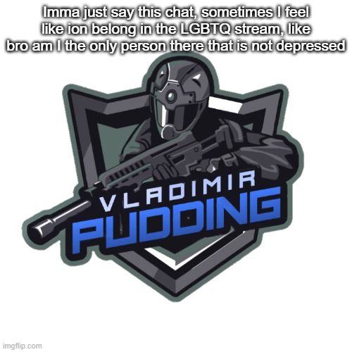 Vladimir Pudding | Imma just say this chat, sometimes I feel like ion belong in the LGBTQ stream, like bro am I the only person there that is not depressed | image tagged in vladimir pudding | made w/ Imgflip meme maker