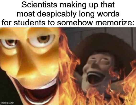 Why | Scientists making up that most despicably long words for students to somehow memorize: | image tagged in satanic woody no spacing,memes,scientists,funny,relatable | made w/ Imgflip meme maker