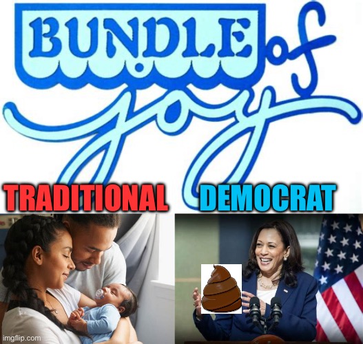 Democrats ignore the joy of parenthood | TRADITIONAL; DEMOCRAT | image tagged in gifs,democrats,kamala harris,parenthood,joy | made w/ Imgflip meme maker