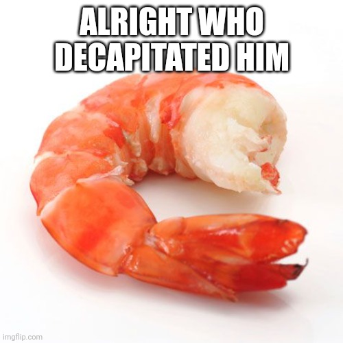 Shrimp No Head | ALRIGHT WHO DECAPITATED HIM | image tagged in shrimp no head | made w/ Imgflip meme maker