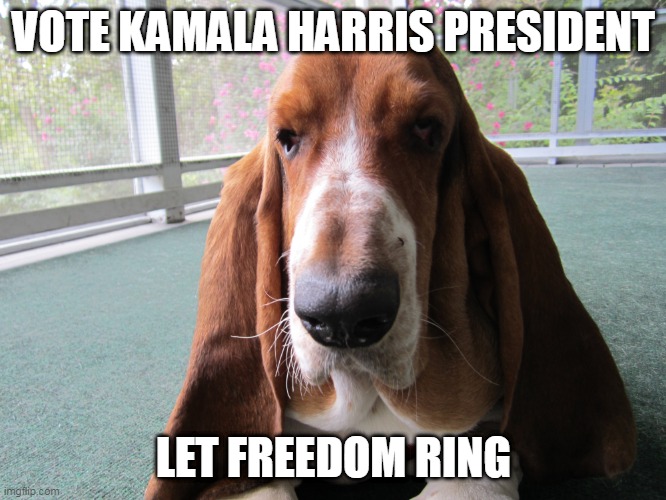 Vote Kamala Harris President | VOTE KAMALA HARRIS PRESIDENT; LET FREEDOM RING | image tagged in freedom | made w/ Imgflip meme maker