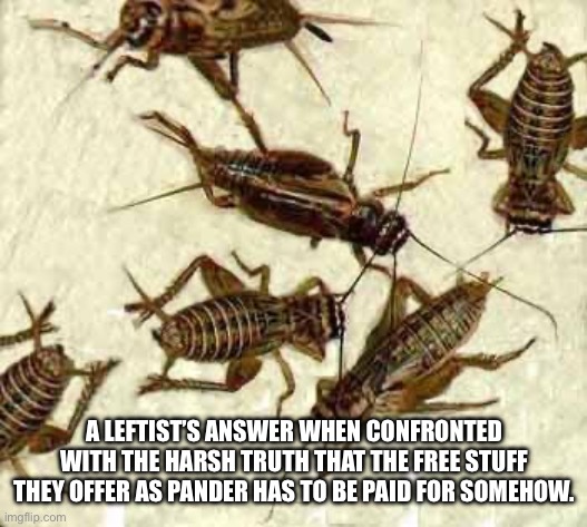 Crickets | A LEFTIST’S ANSWER WHEN CONFRONTED WITH THE HARSH TRUTH THAT THE FREE STUFF THEY OFFER AS PANDER HAS TO BE PAID FOR SOMEHOW. | image tagged in crickets | made w/ Imgflip meme maker