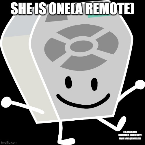 Remote from BFB and TPOT | SHE IS ONE(A REMOTE) THE IMAGE FOR KILLMOTE IS JUST REMOYE FROM BFB BUT INVERTED | image tagged in remote from bfb and tpot | made w/ Imgflip meme maker