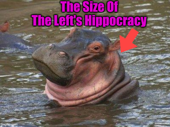 Hugemongous | The Size Of The Left's Hippocracy | image tagged in smiling hippo,political,political meme,funny memes,funny,leftists | made w/ Imgflip meme maker