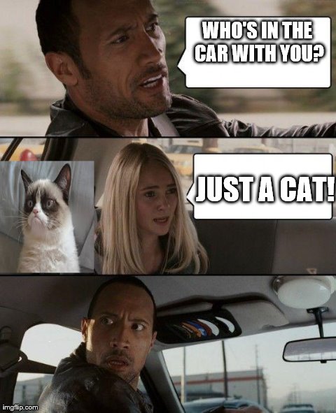 The Rock Driving | WHO'S IN THE CAR WITH YOU? JUST A CAT! | image tagged in memes,the rock driving | made w/ Imgflip meme maker