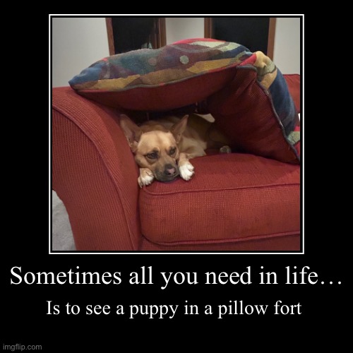 Puppy fort | Sometimes all you need in life… | Is to see a puppy in a pillow fort | image tagged in funny,demotivationals | made w/ Imgflip demotivational maker