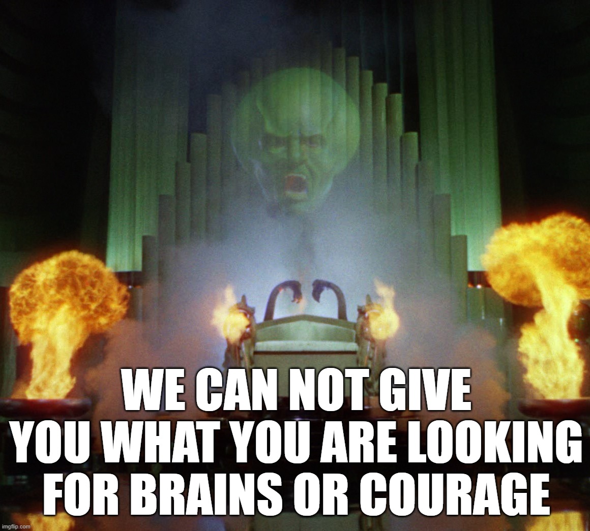 Wizard of Oz Powerful | WE CAN NOT GIVE YOU WHAT YOU ARE LOOKING FOR BRAINS OR COURAGE | image tagged in wizard of oz powerful | made w/ Imgflip meme maker
