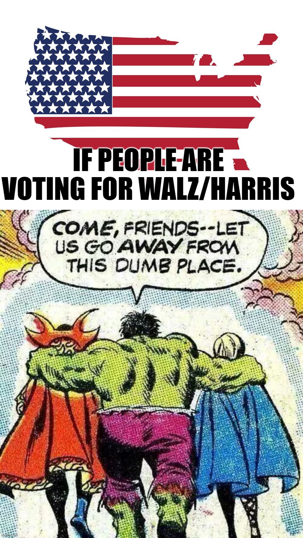 The USA is truly dumb is they vote for the Democrat Clown Show | IF PEOPLE ARE VOTING FOR WALZ/HARRIS | image tagged in usa map flag,let us go | made w/ Imgflip meme maker