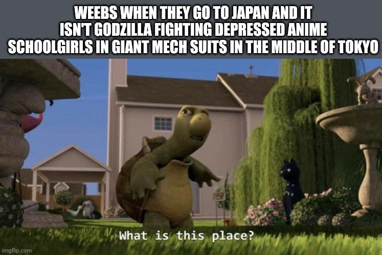 What is this place | WEEBS WHEN THEY GO TO JAPAN AND IT ISN'T GODZILLA FIGHTING DEPRESSED ANIME SCHOOLGIRLS IN GIANT MECH SUITS IN THE MIDDLE OF TOKYO | image tagged in what is this place | made w/ Imgflip meme maker