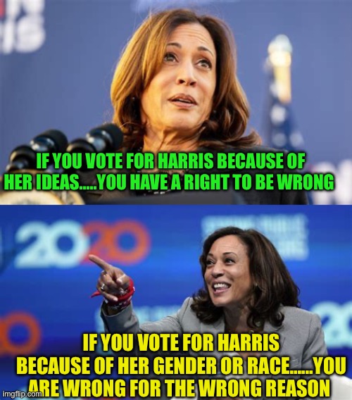 Learning from your mistakes is important, learning from other people’s mistakes is progress | IF YOU VOTE FOR HARRIS BECAUSE OF HER IDEAS…..YOU HAVE A RIGHT TO BE WRONG; IF YOU VOTE FOR HARRIS BECAUSE OF HER GENDER OR RACE……YOU ARE WRONG FOR THE WRONG REASON | image tagged in gifs,kamala harris,democrats,racist,incompetence | made w/ Imgflip meme maker