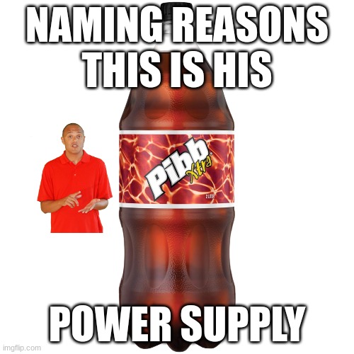 Pibb Xtra Soda - 2 liter | NAMING REASONS THIS IS HIS; POWER SUPPLY | image tagged in pibb xtra soda - 2 liter | made w/ Imgflip meme maker