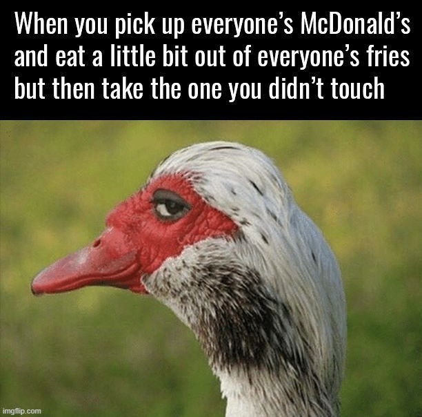 Why I don't mind picking up food | image tagged in french fries | made w/ Imgflip meme maker