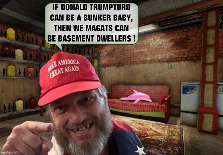 image tagged in basement dweller,donald trump is an idiot,dolphins,couch,clown car republicans,maga | made w/ Imgflip meme maker