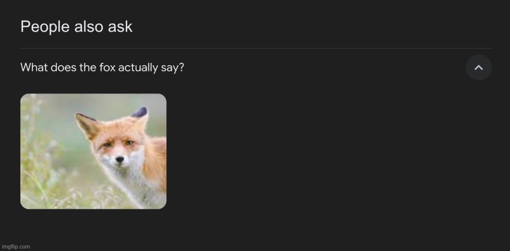I guess the fox says nothing according to google | image tagged in memes,fox | made w/ Imgflip meme maker