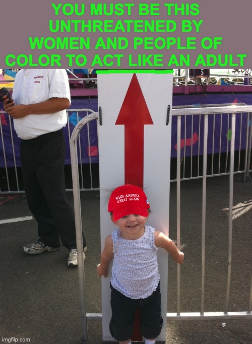 Let's have adults in the room, again | YOU MUST BE THIS UNTHREATENED BY WOMEN AND PEOPLE OF COLOR TO ACT LIKE AN ADULT | image tagged in you must be this tall,gop,adults | made w/ Imgflip meme maker