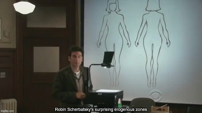 Robin Scherbatsky's surprising erogenous zones Blank Meme Template