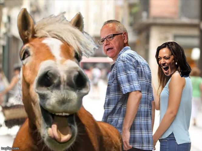 Tim Walz really loves Horses | image tagged in horses,pervert | made w/ Imgflip meme maker