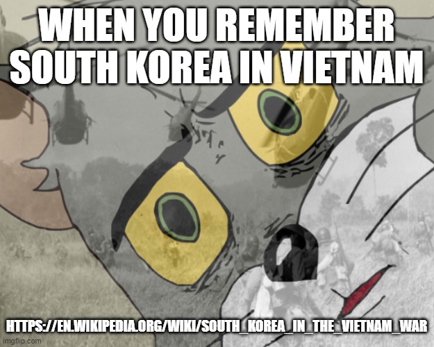 Unsettled tom vietnam | WHEN YOU REMEMBER SOUTH KOREA IN VIETNAM; HTTPS://EN.WIKIPEDIA.ORG/WIKI/SOUTH_KOREA_IN_THE_VIETNAM_WAR | image tagged in unsettled tom vietnam | made w/ Imgflip meme maker