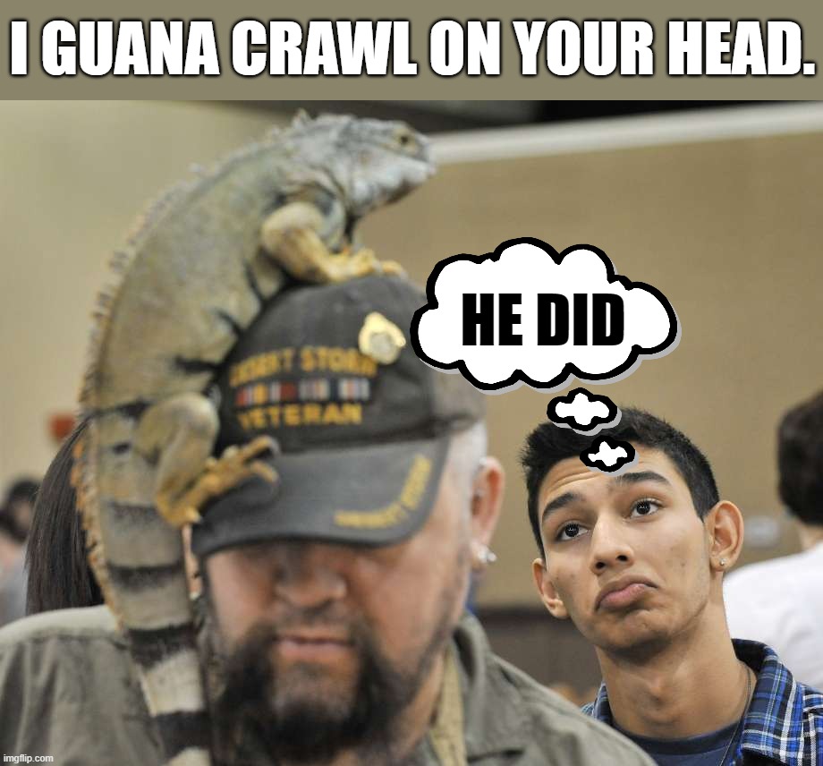 I wanna, get it? | I GUANA CRAWL ON YOUR HEAD. HE DID | image tagged in dad joke | made w/ Imgflip meme maker