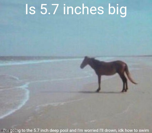 man. | Is 5.7 inches big; I'm going to the 5.7 inch deep pool and I'm worried I'll drown, idk how to swim | image tagged in man | made w/ Imgflip meme maker