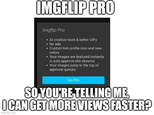 IMGFLIP PRO; SO YOU'RE TELLING ME,
I CAN GET MORE VIEWS FASTER? | made w/ Imgflip meme maker