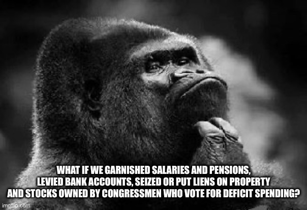 Congress incurred the debt, congress can pay it. | WHAT IF WE GARNISHED SALARIES AND PENSIONS, LEVIED BANK ACCOUNTS, SEIZED OR PUT LIENS ON PROPERTY AND STOCKS OWNED BY CONGRESSMEN WHO VOTE FOR DEFICIT SPENDING? | image tagged in thinking monkey | made w/ Imgflip meme maker