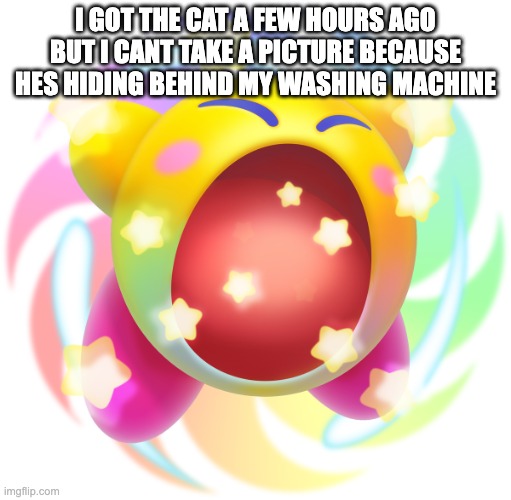 Hypernova Kirby | I GOT THE CAT A FEW HOURS AGO BUT I CANT TAKE A PICTURE BECAUSE HES HIDING BEHIND MY WASHING MACHINE | image tagged in hypernova kirby | made w/ Imgflip meme maker