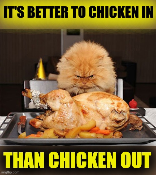 Cat looking at chicken | IT'S BETTER TO CHICKEN IN THAN CHICKEN OUT | image tagged in cat looking at chicken | made w/ Imgflip meme maker