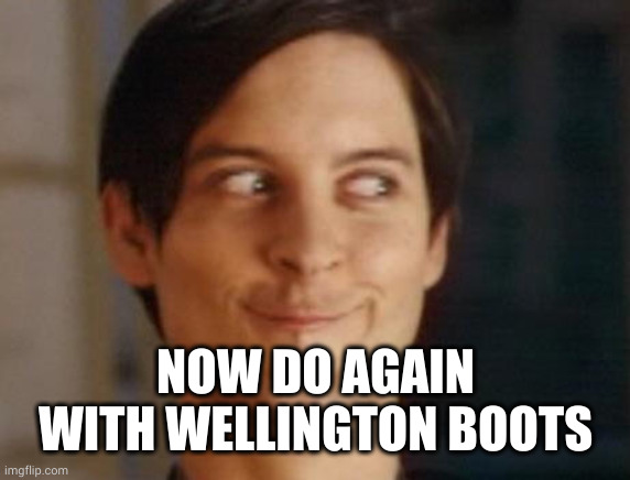 Spiderman Peter Parker Meme | NOW DO AGAIN WITH WELLINGTON BOOTS | image tagged in memes,spiderman peter parker | made w/ Imgflip meme maker