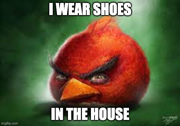 Realistic Red Angry Birds | I WEAR SHOES; IN THE HOUSE | image tagged in realistic red angry birds | made w/ Imgflip meme maker