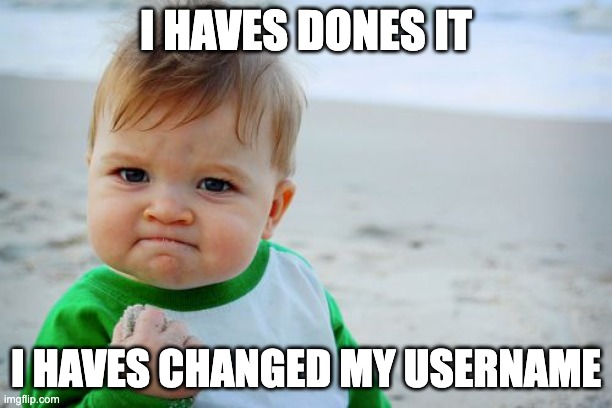 Success Kid Original | I HAVES DONES IT; I HAVES CHANGED MY USERNAME | image tagged in memes,success kid original | made w/ Imgflip meme maker